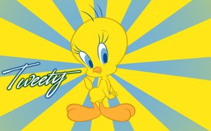 Tweety Learn How To Use A Computer To Tweet